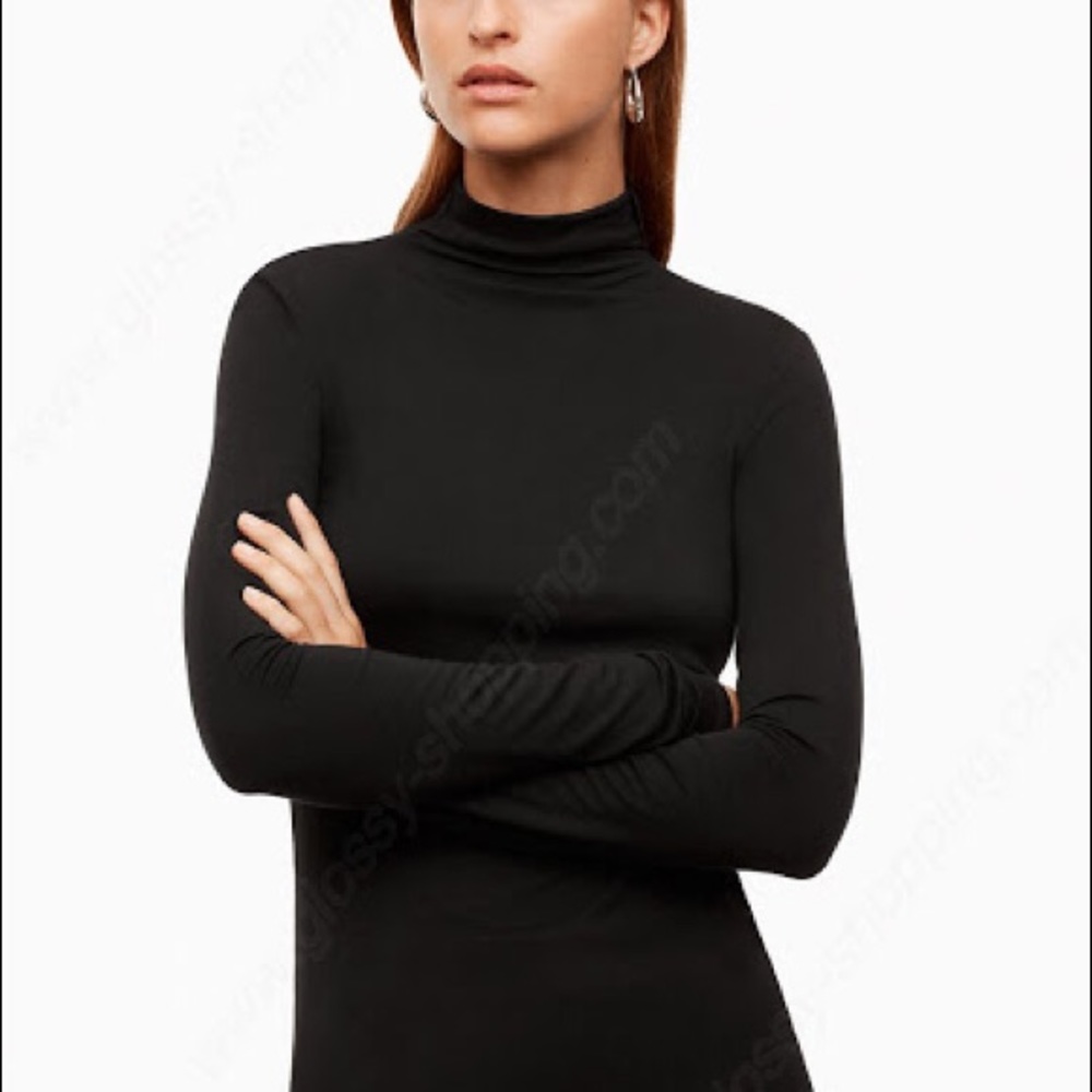 Aritzia Black Babaton Larry Turtleneck